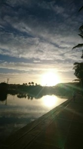 ダウンロード (46)