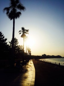 ダウンロード (83)