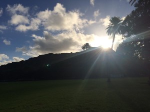 ダウンロード (10)