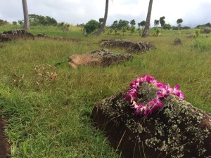 ダウンロード (8)