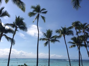 ダウンロード (9)